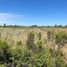  Terreno (Parcela) en venta en Maule, Talca, Talca, Maule