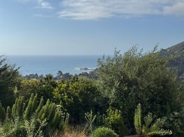  Land for sale in Chile, Puchuncavi, Valparaiso, Valparaiso, Chile