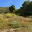  Land for sale in Chile, Puchuncavi, Valparaiso, Valparaiso, Chile