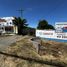  Terreno (Parcela) en venta en Chile, Chillan, Diguillín, Ñuble, Chile
