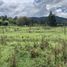  Land for sale in Rionegro, Antioquia, Rionegro
