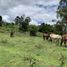  Land for sale in Rionegro, Antioquia, Rionegro
