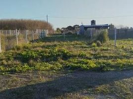  Grundstück zu verkaufen in La Plata, Buenos Aires, La Plata