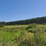 Land for sale in Concordia, Entre Rios, Concordia