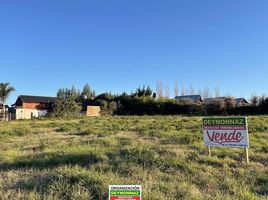  Land for sale in Colon, Entre Rios, Colon