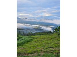  Land for sale in La Cumbre, Valle Del Cauca, La Cumbre