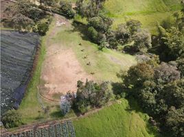  Land for sale in El Carmen De Viboral, Antioquia, El Carmen De Viboral