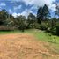  Land for sale in El Carmen De Viboral, Antioquia, El Carmen De Viboral