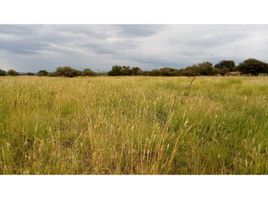  Land for sale in Constitucion, Santa Fe, Constitucion