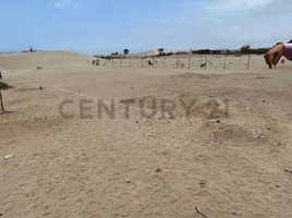  Land for sale in Chilca, Cañete, Chilca