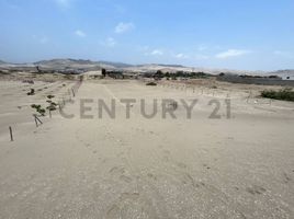  Land for sale in Chilca, Cañete, Chilca