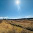  Land for sale in Amealco De Bonfin, Queretaro, Amealco De Bonfin