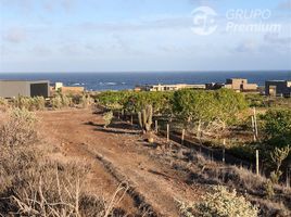  Terreno (Parcela) en venta en Coquimbo, Mincha, Choapa, Coquimbo