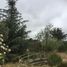 4 Habitación Casa en venta en Melipilla, Santiago, Curacavi, Melipilla