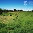  Land for sale in Chile, Bulnes, Diguillin, Nuble, Chile