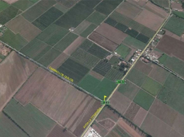  Land for sale in Chile, Machali, Cachapoal, Libertador General Bernardo Ohiggins, Chile