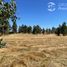  Land for sale in Chile, Chillan, Diguillin, Nuble, Chile