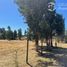  Land for sale in Chile, Chillan, Diguillin, Nuble, Chile