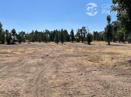  Land for sale in Chile, Chillan, Diguillin, Nuble, Chile