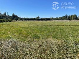  Land for sale in Chile, Los Angeles, Biobío, Biobío, Chile