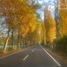  Land for sale in Chile, Los Angeles, Biobío, Biobío, Chile