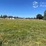  Land for sale in Chile, Los Angeles, Biobío, Biobío, Chile