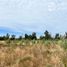  Land for sale in Chile, Los Angeles, Biobío, Biobío, Chile