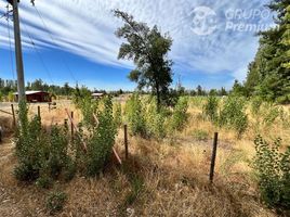 Land for sale in Chile, Los Angeles, Biobío, Biobío, Chile