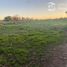  Land for sale in Chile, Longavi, Linares, Maule, Chile