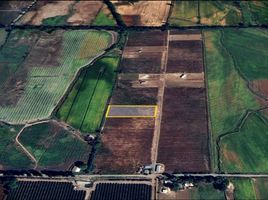  Terreno (Parcela) en venta en Chile, Chillan, Diguillín, Ñuble, Chile