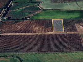  Terreno (Parcela) en venta en Chile, Chillan, Diguillín, Ñuble, Chile