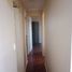 3 Habitación Apartamento en alquiler en Chile, Chillan, Diguillín, Ñuble, Chile