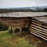  Land for sale in Chile, Chonchi, Chiloe, Los Lagos, Chile