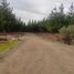  Terreno (Parcela) en venta en Ñuble, Bulnes, Diguillín, Ñuble