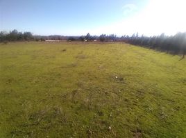  Terreno (Parcela) en venta en Chile, Molina, Curicó, Maule, Chile