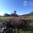  Terreno (Parcela) en venta en Chile, Molina, Curicó, Maule, Chile