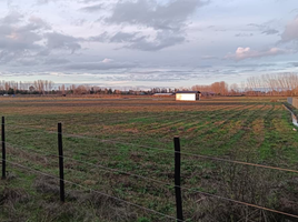  Land for sale in Nuble, Chillan, Diguillin, Nuble