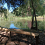  Land for sale in Nuble, Chillan, Diguillin, Nuble