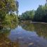  Land for sale in Nuble, Chillan, Diguillin, Nuble