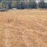  Terreno (Parcela) en venta en Chile, Chillan, Diguillín, Ñuble, Chile