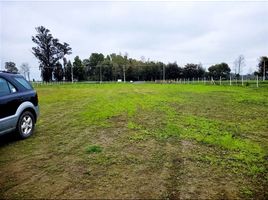  Terreno (Parcela) en venta en Chile, Chillan, Diguillín, Ñuble, Chile