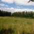  Land for sale in Neuquen, Confluencia, Neuquen