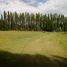  Land for sale in Neuquen, Confluencia, Neuquen