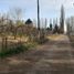  Land for sale in Neuquen, Confluencia, Neuquen