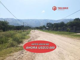  Terreno (Parcela) en venta en Junin, San Luis, Junin