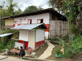  Terreno (Parcela) en venta en Salento, Quindio, Salento