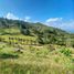 Terrain à vendre à Rionegro, Antioquia, Rionegro, Antioquia