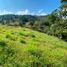 Terrain à vendre à Rionegro, Antioquia, Rionegro, Antioquia