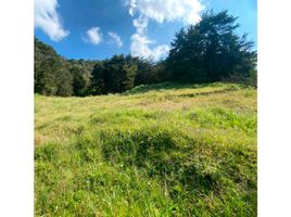 Terrain à vendre à Rionegro, Antioquia, Rionegro, Antioquia