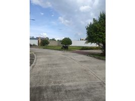  Land for sale in Cordoba, Monteria, Cordoba